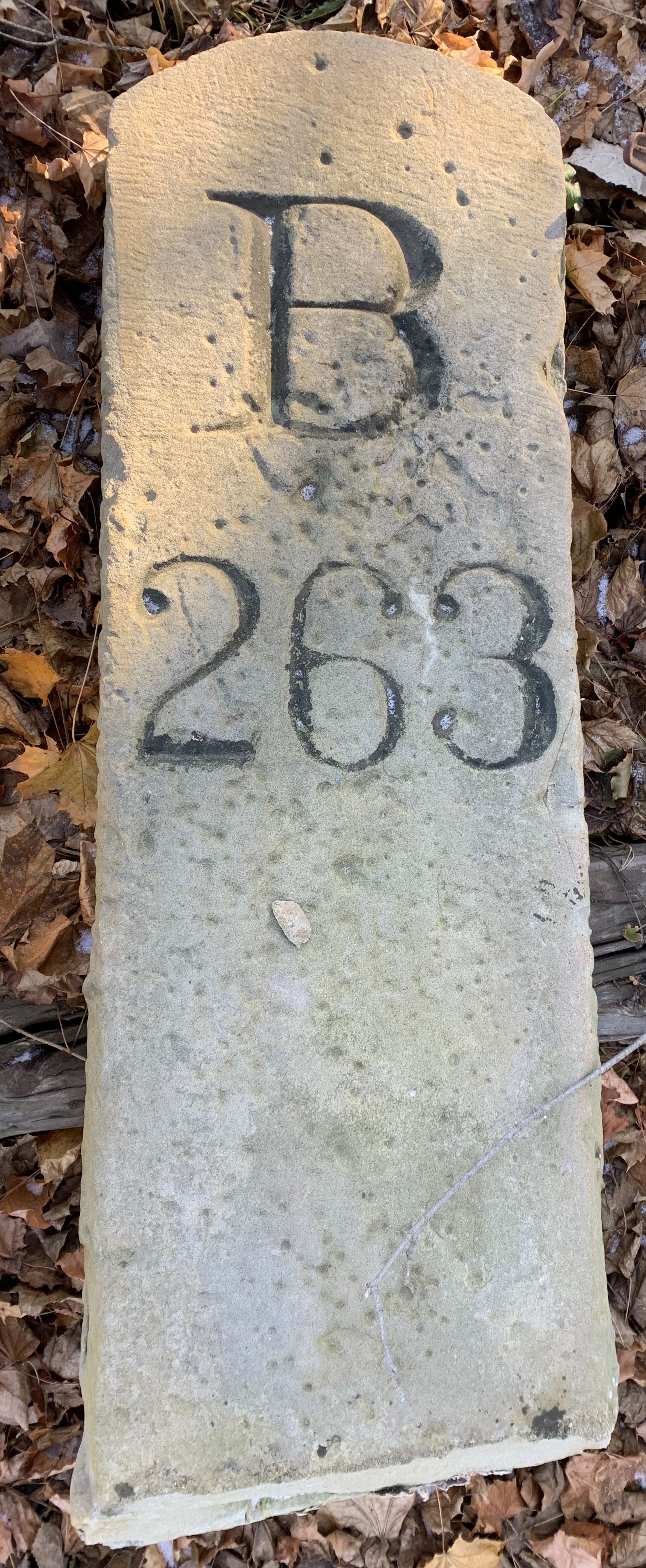 3478 - Lake Shore & Michigan Southern Railroad Mile Marker thumbnail