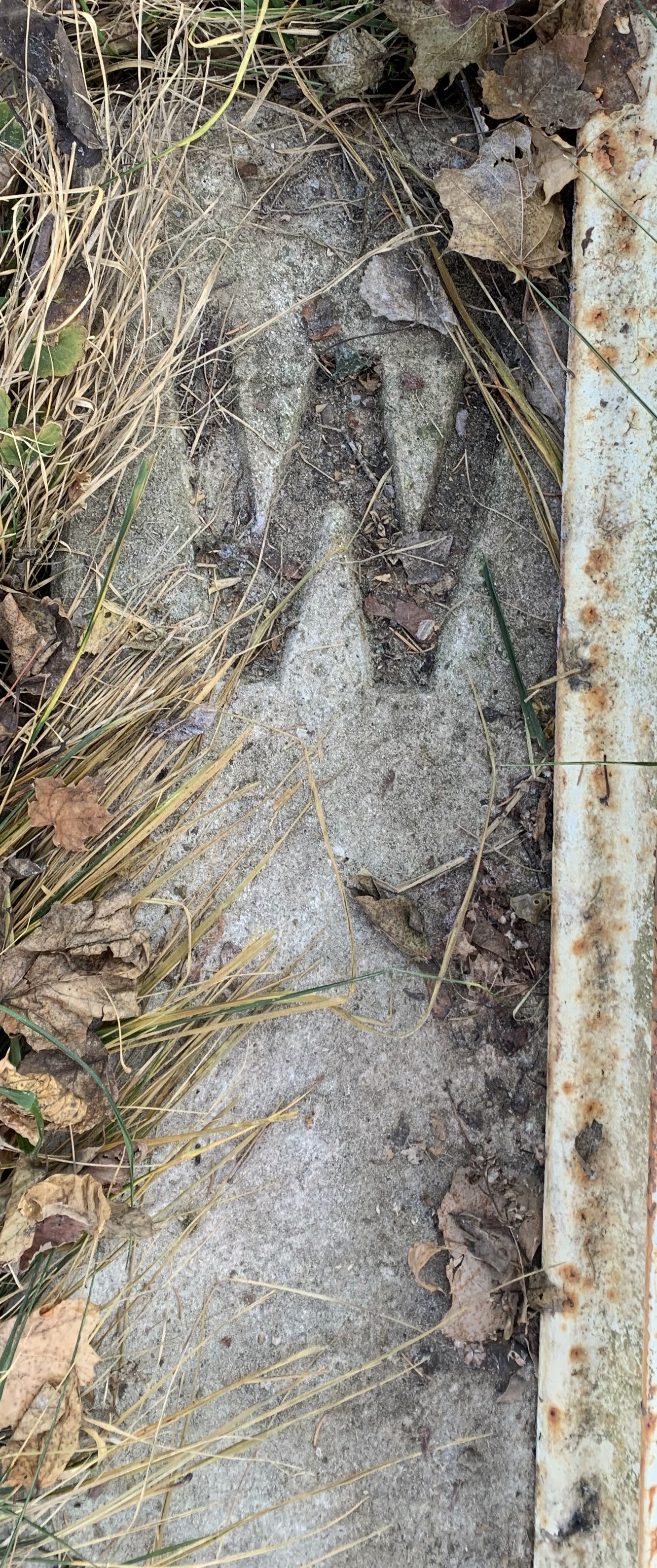 3502 - Concrete Railroad Whistle Post #4 thumbnail