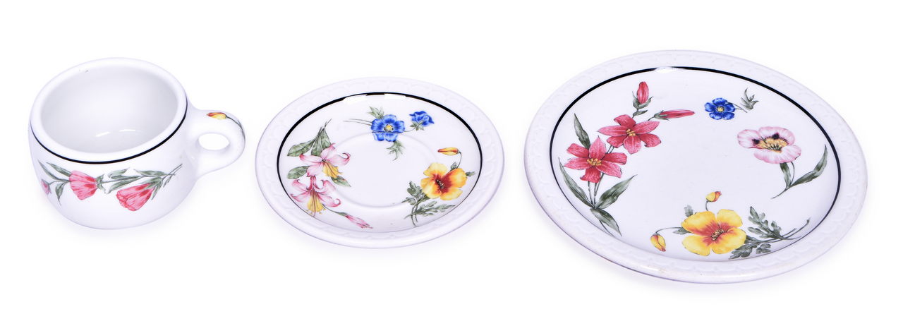 4223 - Southern Pacific Railroad Prairie Mountain Wildflowers Coffee Cup, Saucer, and Plate thumbnail