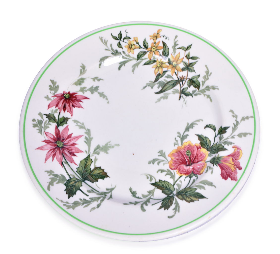 4233 - Atlantic Coast Line Railroad Flora Of The South Plate 9