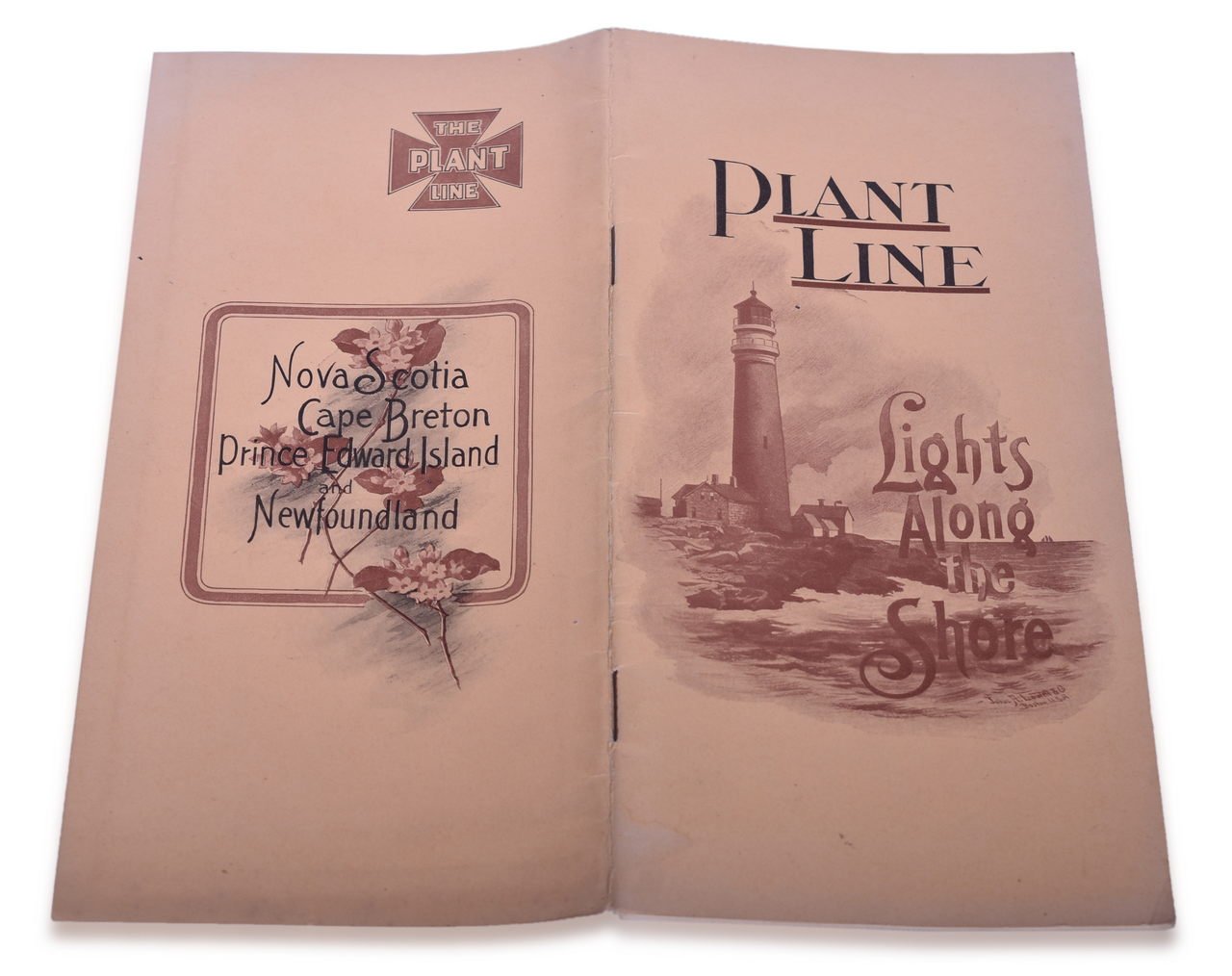 3579 - The Plant Line 