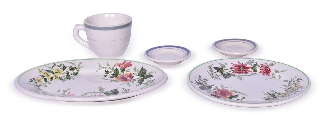 4017 - Five Pieces of Atlantic Coast Line Railroad China - Flora of the South and Carolina thumbnail