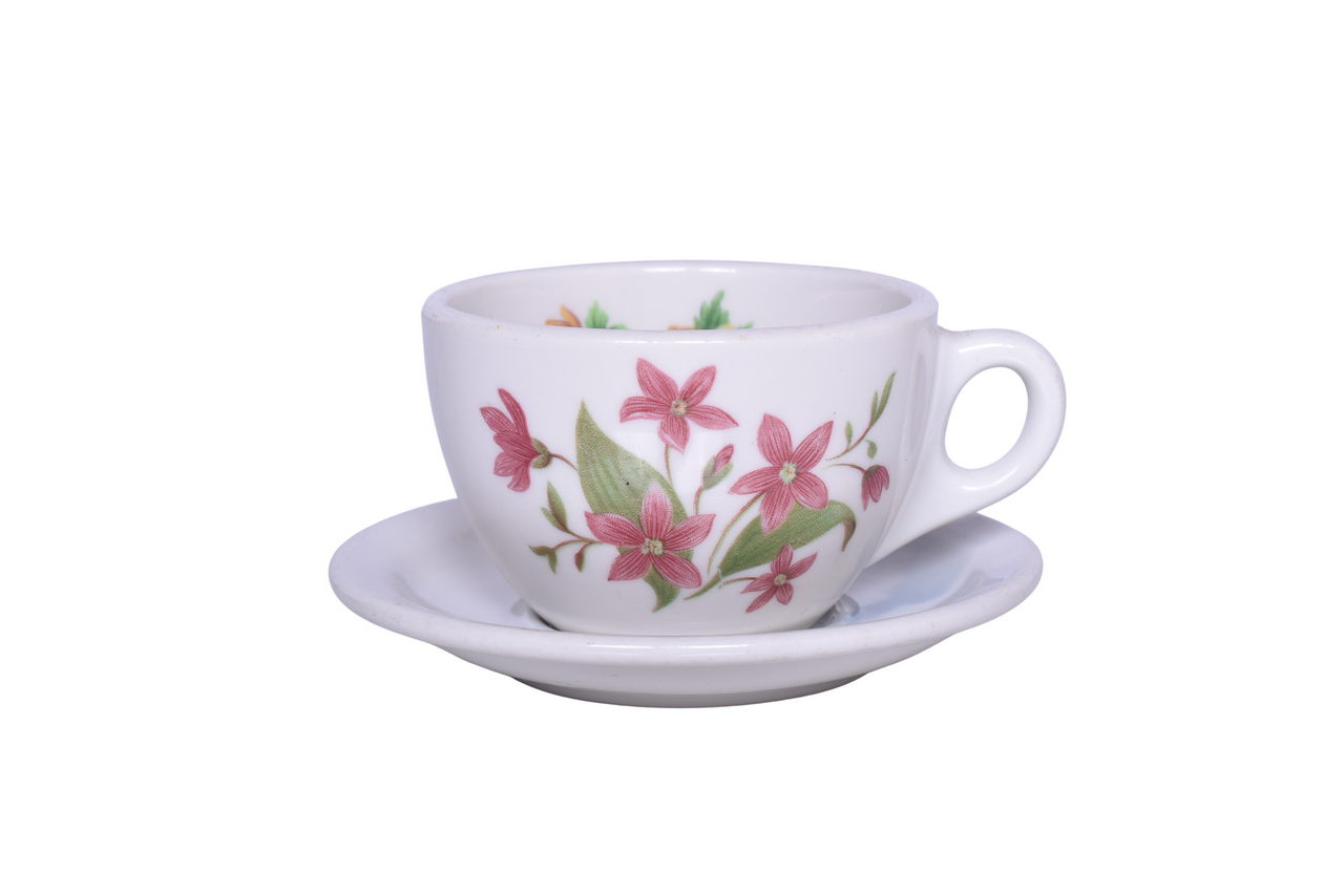 6091 - Great Northern Railroad China Mountain and Flowers Cup and Saucer Set thumbnail