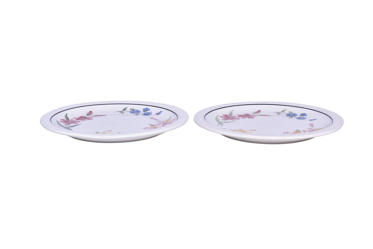 6129 - Two Southern Pacific Railroad China Prairie Mountain Wildflowers Dinner Plates 9 1/2