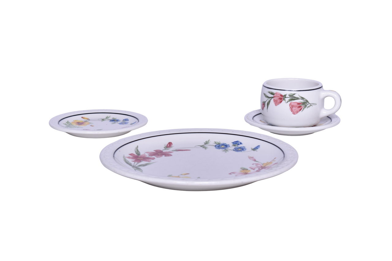 6133 - Southern Pacific Railroad China Prairie Mountain Wildflowers Coffee Cup, Saucer, Dinner Plate, and Bread Plate thumbnail