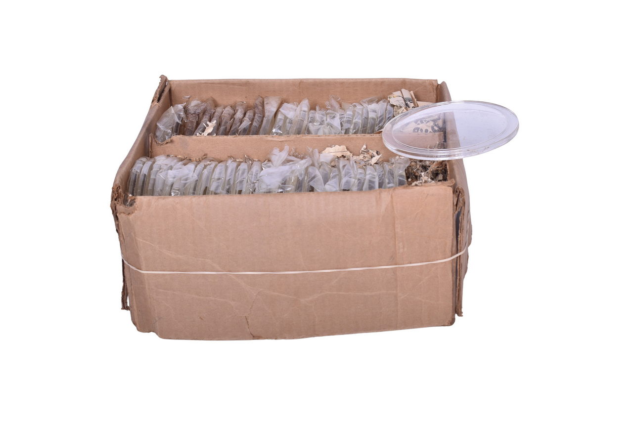 1022 - Box of General Signal, Inc. 5 3/8