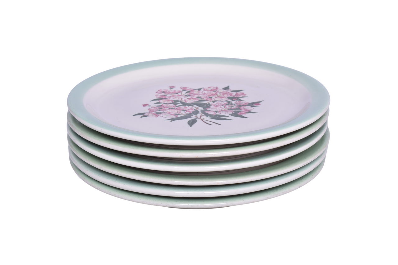 6413 - Six Pennsylvania Railroad Shenango China Mountain Laurel Dinner Plates 9 5/8