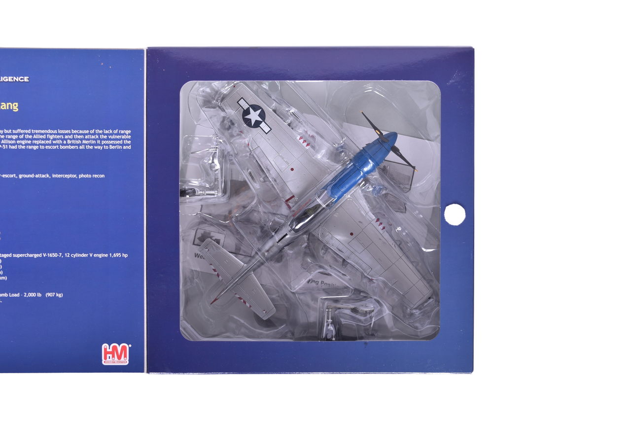 7595 - Hobby Master 1:48 P-51 Mustang 