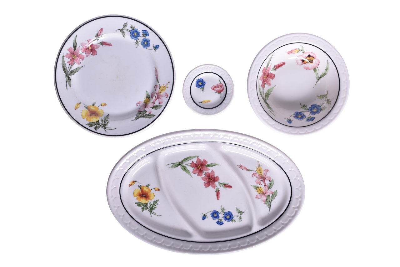 3037 - Southern Pacific Railroad China Prairie Mountain Wildflowers Divided Oval Platter, Bowl, Plate, Butter Pat thumbnail