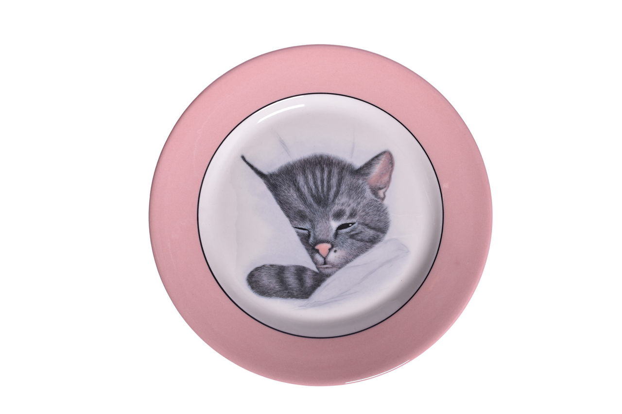 3387 - Chesapeake and Ohio Railroad Buffalo China Chessie Pink Border Plate thumbnail